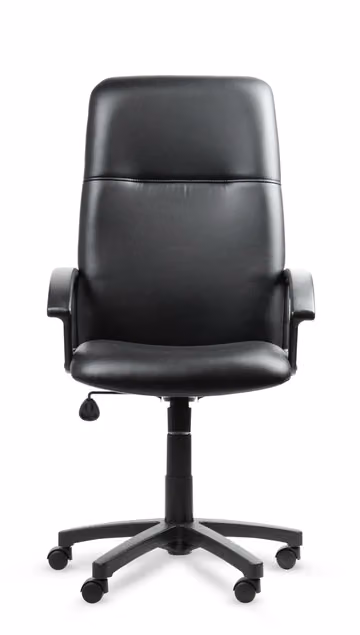 Sillón ejecutivo Cash